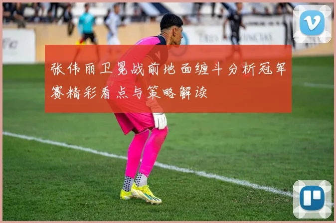 张伟丽卫冕战前地面缠斗分析冠军赛精彩看点与策略解读