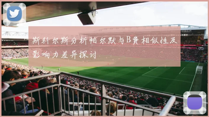 斯科尔斯分析帕尔默与B费相似性及影响力差异探讨